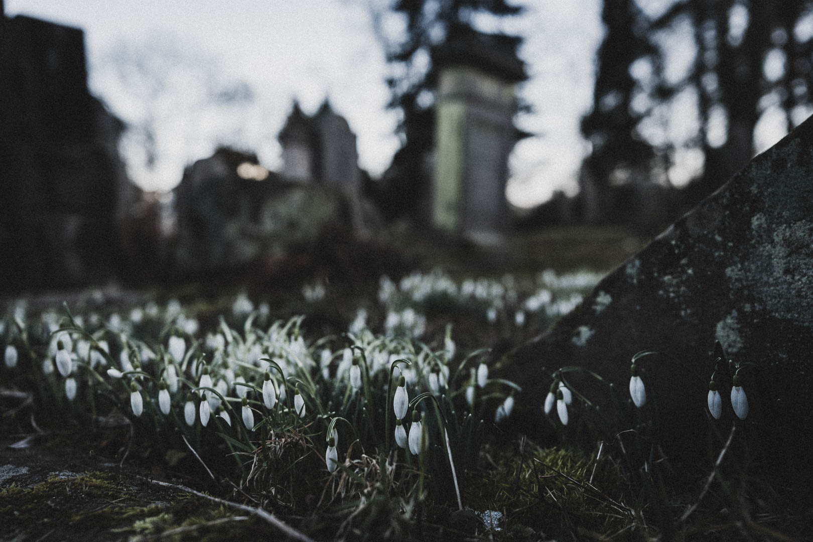 Horn-Bad Meinberg, Jüdischer Friedhof